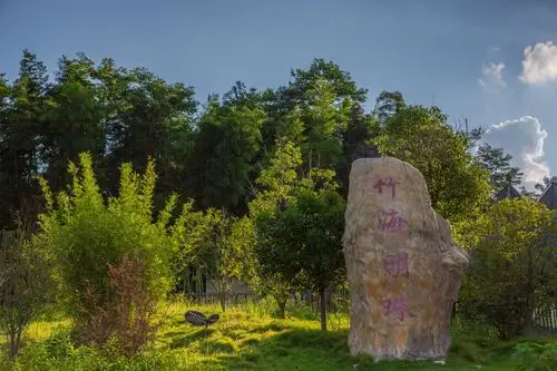梅岭竹海明珠景区