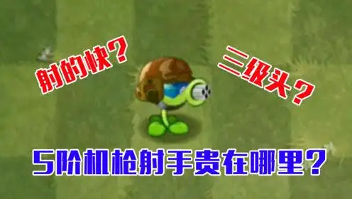 植物大战僵尸:5阶机枪射手到底贵在哪里?三级头?四连发?