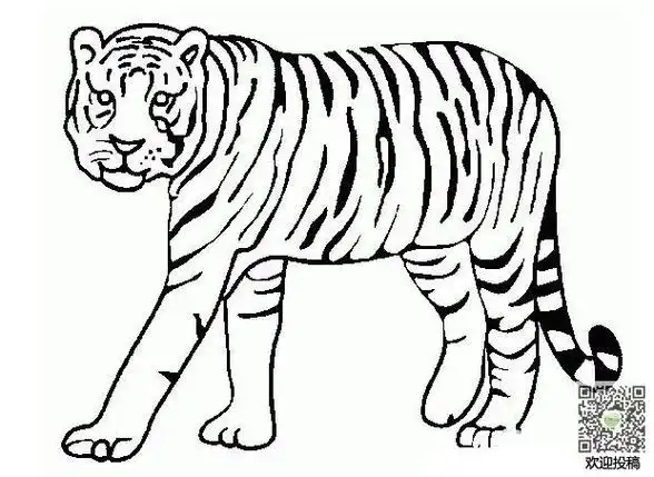 老虎简笔画怎么画老虎简笔画怎么画生肖老虎简笔画2020年幼儿园简洁的