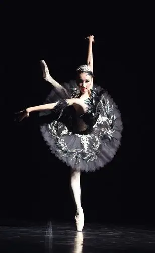 p>邱思婷,著名旅德芭蕾舞蹈家,艺术制作人,被西方媒体高度赞誉为"