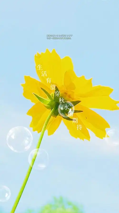 生活有望穿秋水的期待,也有意想不到的惊喜!