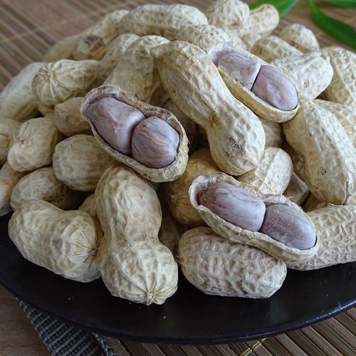 水煮咸干花生 龙岩带壳花生盐水花生休闲食品250g-500g