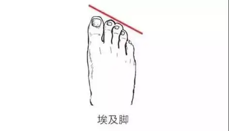 富贵命和享福命的脚,二脚趾头长男人命运-帝神算命网