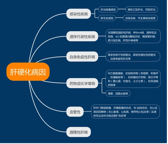 一文汇总肝硬化的六大病因及治疗方法
