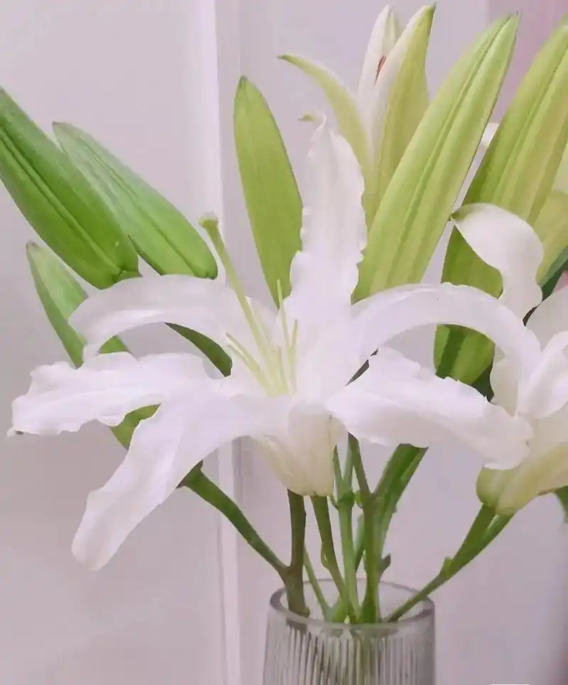 99今日花材:百合 93花语:百世合意 - 抖音