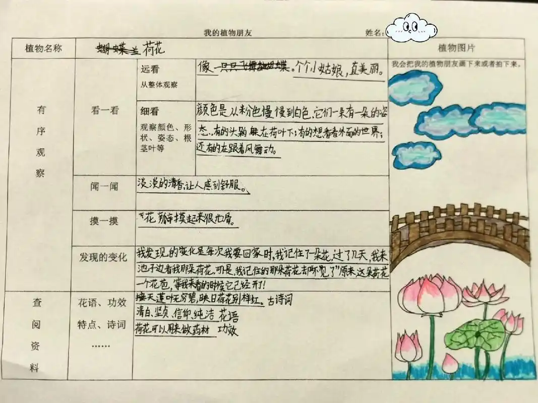 《我的植物朋友》观察记录卡 三年级下册第一单元作文《我的植物朋友