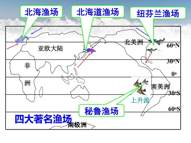 鲁教版地理必修一课件32地理环境的整体性