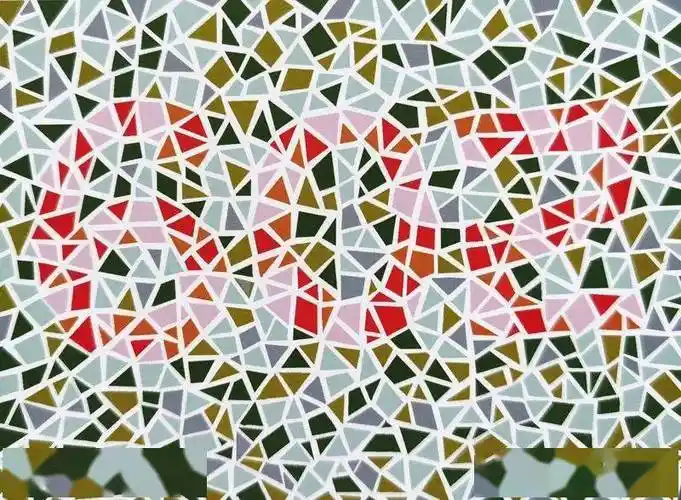 色盲检查图来测一测吧