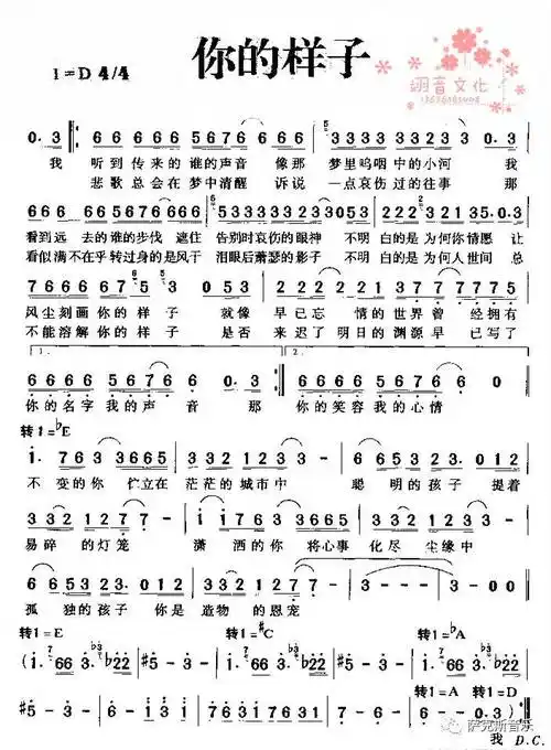 【你的样子】罗大佑经典歌曲(深情中音萨克斯音乐)