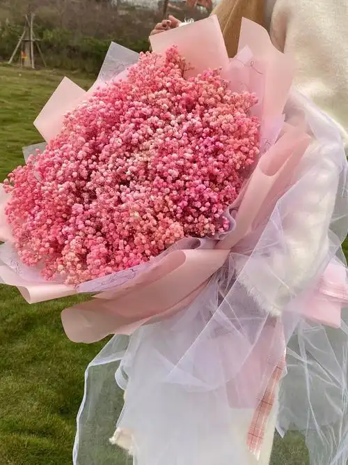 情人节干花束粉色满天星天然永生花小花束送女友闺蜜生日礼物