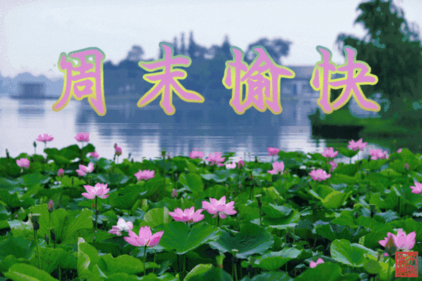 周末愉快早安问候语 周末愉快的句子