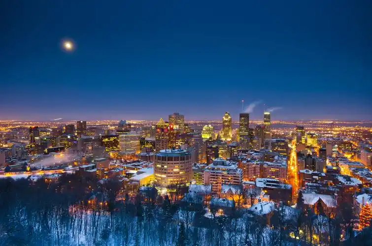 加拿大麦吉尔大学