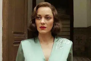 皮特《间谍同盟》内地改档1130 延期一_百度视频搜索