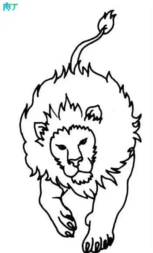 又大又凶猛的狮子简笔画 简笔画图片大全-蒲城教育文学网