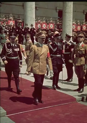 求此图原图(没有那个白色圆圈).