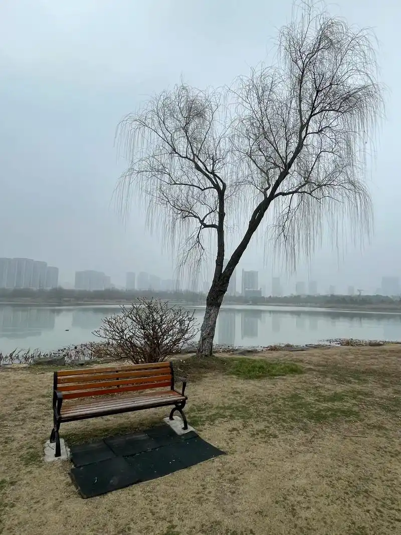 合肥绝佳露营公园|周末遛娃|搭帐篷|露营.公司附近的陶冲湖公 - 抖音