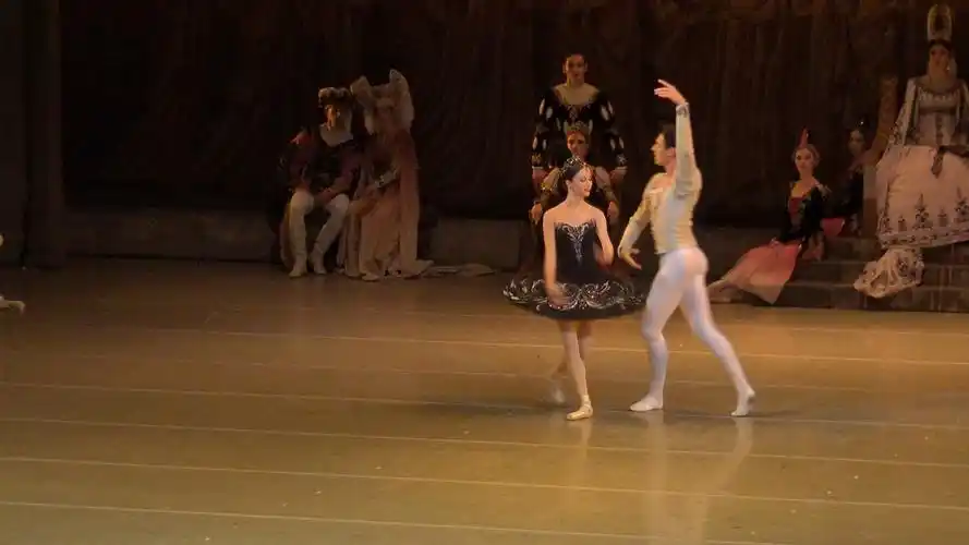 马林斯基芭蕾舞团 天鹅湖选段 雷娜塔·沙基罗娃
