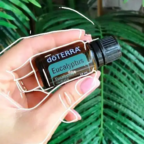 doterra 尤加利树精油eucalyptus