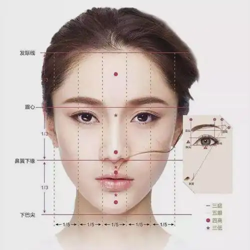 人体黄金比例公式(黄金比例是什么)(19)