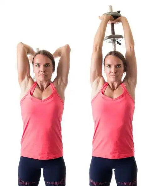 怎样练肱三头肌3个动作每周练2次打造强壮的手臂肌肉