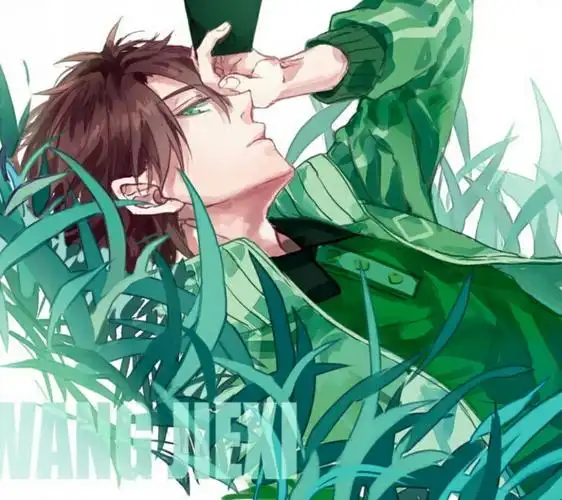 王杰希全职高手