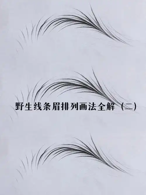 野生线条眉排列画法详细分解第二弹