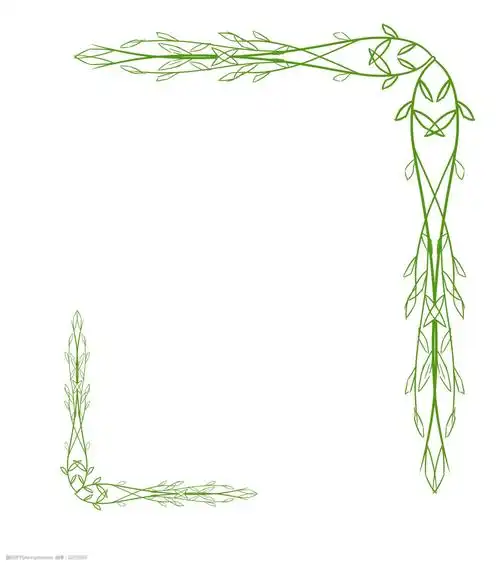 树枝边框卡通插画