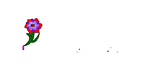 倾城玫瑰,为爱绽放!蒙古族之花乌兰图雅祝大家情人节快乐!