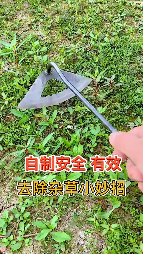 自己动手制作除草剂