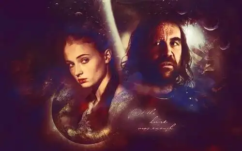 《冰与火之歌》里充满仇恨的"猎狗"-桑铎·克里冈