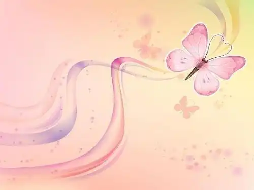 蝴蝶开场动画ppt