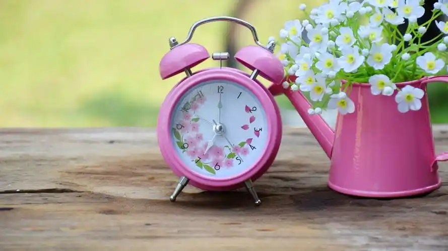 壁纸 粉红色的闹钟,白色的花朵