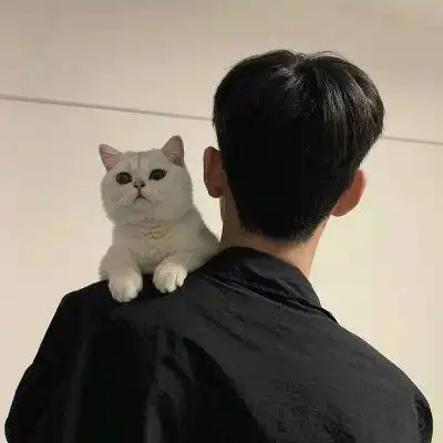 ins小清新文艺范男头世界最美好_男生头像_我要个性网