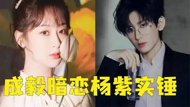成毅暗恋杨紫实锤?