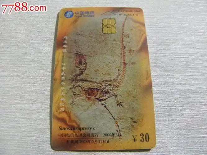 中华龙鸟复原图鸟类起源