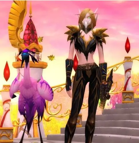 wow锁甲猎人幻化,求这套名字!