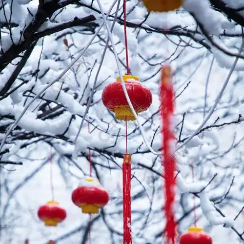 高清雪景新年小灯笼实拍图片