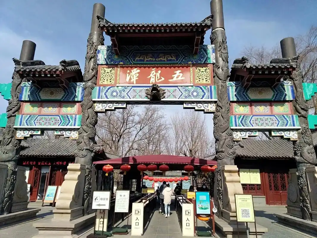 逛逛济南五龙潭～园里盛开着浅黄色腊梅花,彩魚儿在谭中10洒的游