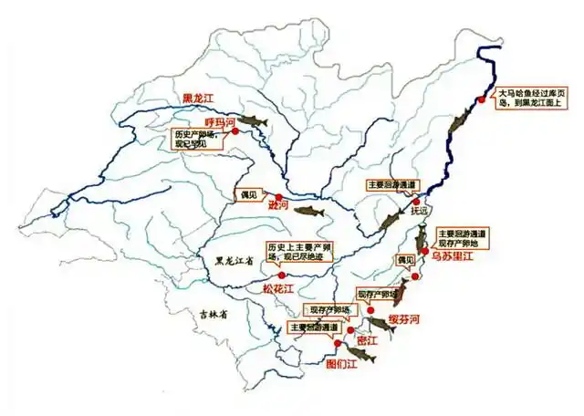 黑龙江省和吉林省大马哈鱼分布图.
