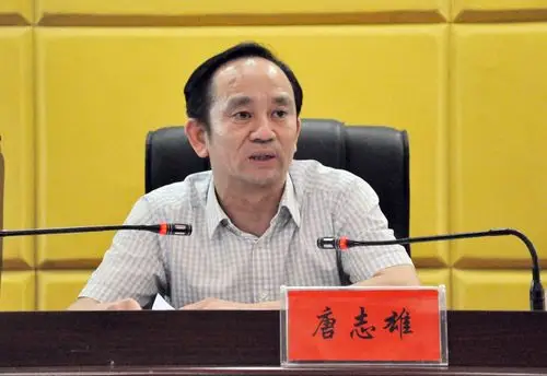 (县委副书记李劲涛作"三城同创"工作报告)(县委副书记,代理县长魏和胜