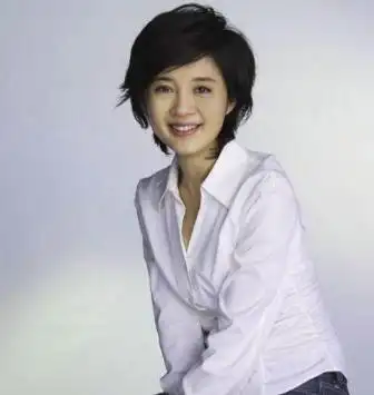 丁健许戈辉 丁健 创业投资