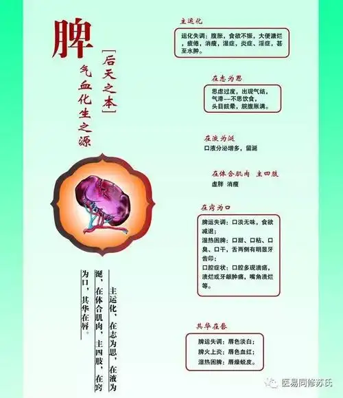 【系统学习健康管理】9,脾功能及其症状表现