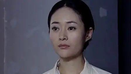 电视剧雾都猎狐