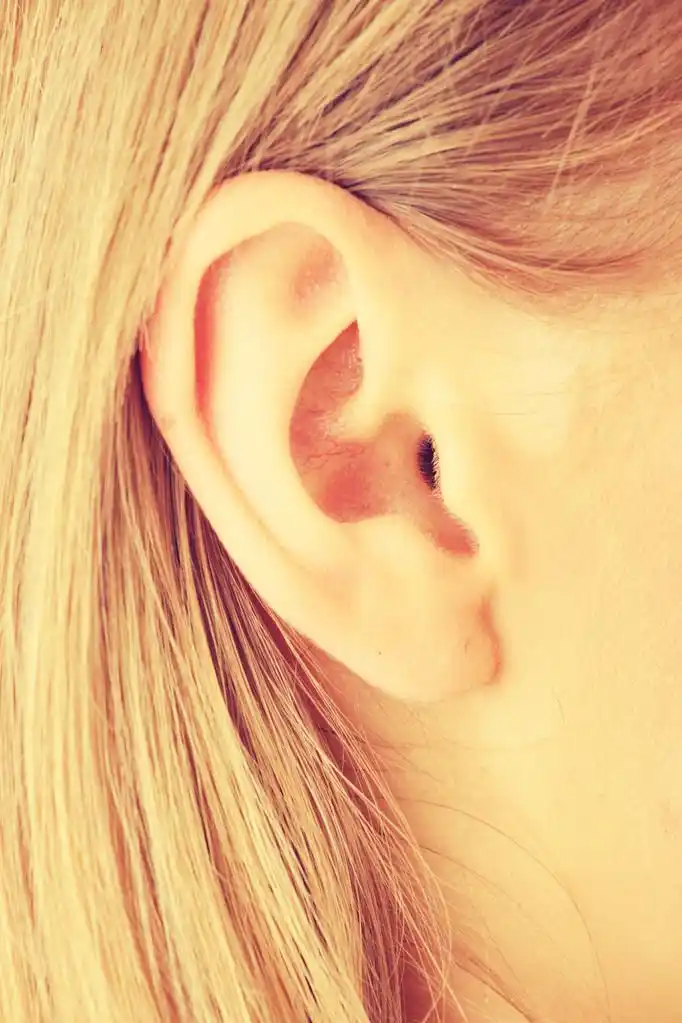 金发女孩耳朵的特写图片