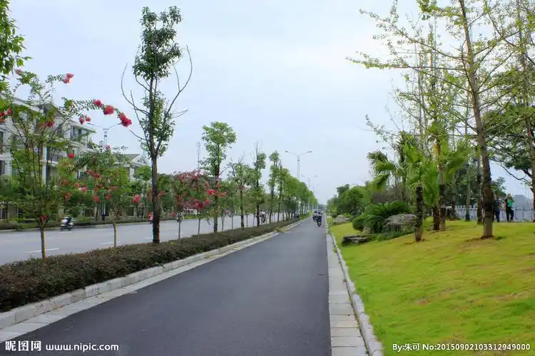 公路隔离带绿化景观图片