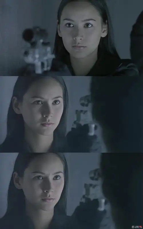 2000年代最多美女的电影绝色神偷其中amandas最大胆演出