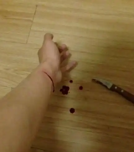 其拍摄的照片中手腕已经被割破,鲜血滴落在木地板上