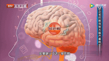 因此,多巴胺与我们大脑的衰老程度密切相关.