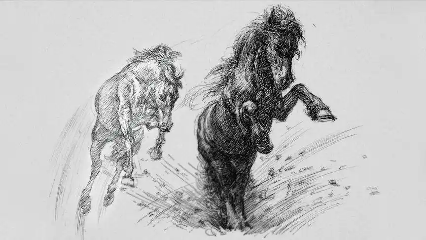 钢笔画动物素描一组奔腾的野马带你体验速度与激情
