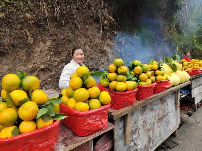 开阳县花梨镇种下致富果开出幸福花
